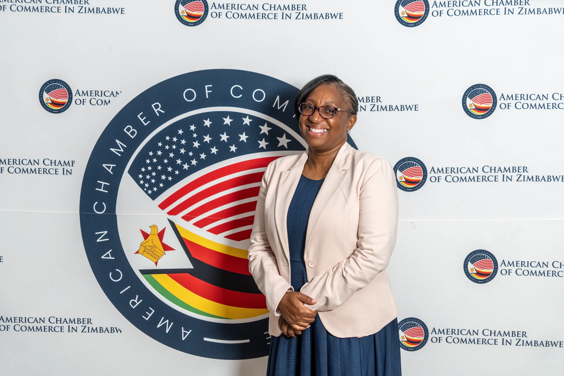 AmCham AGM Mixer 2024