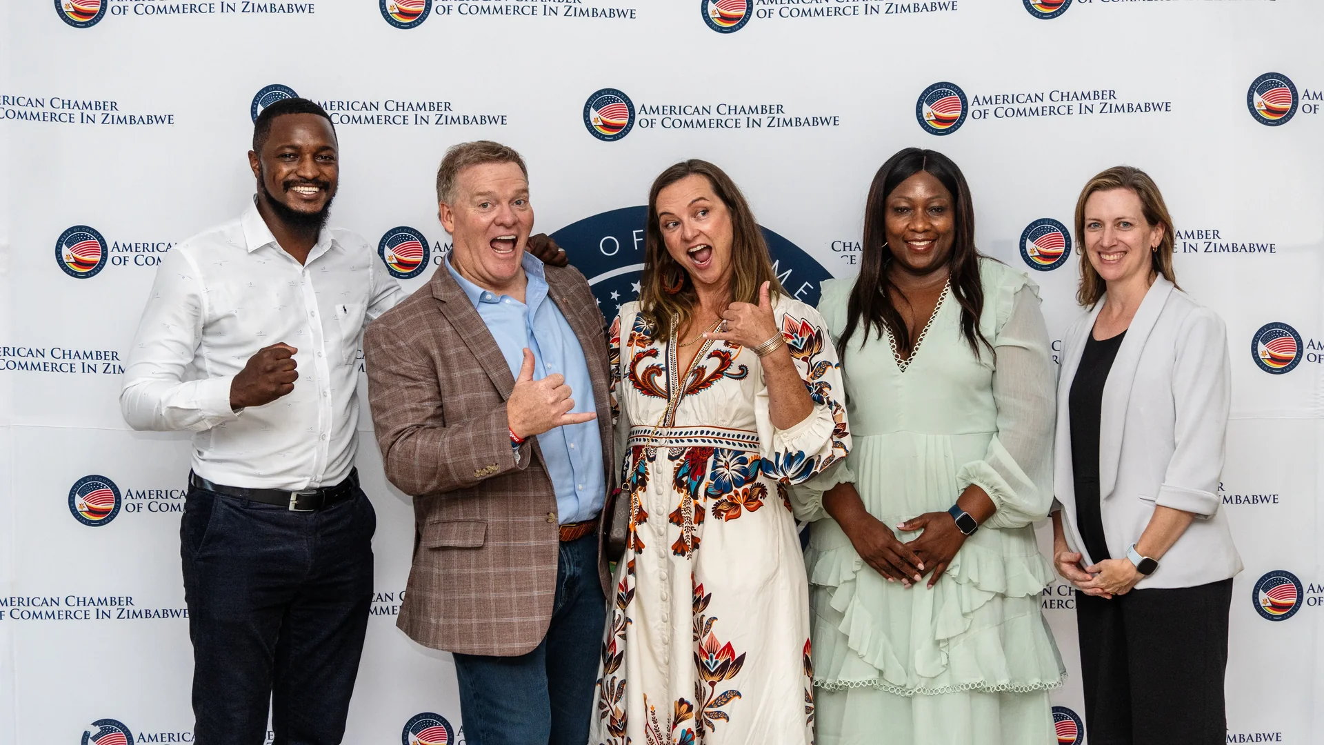 Gallery & Highlights